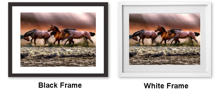 Horses In The Surf Framed Print